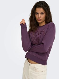 Sudadera JDY Paris L/S Emb Sweat JRS NOOS mujer