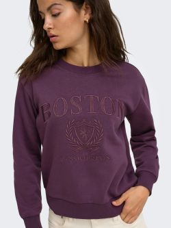 Sudadera JDY Paris L/S Emb Sweat JRS NOOS mujer